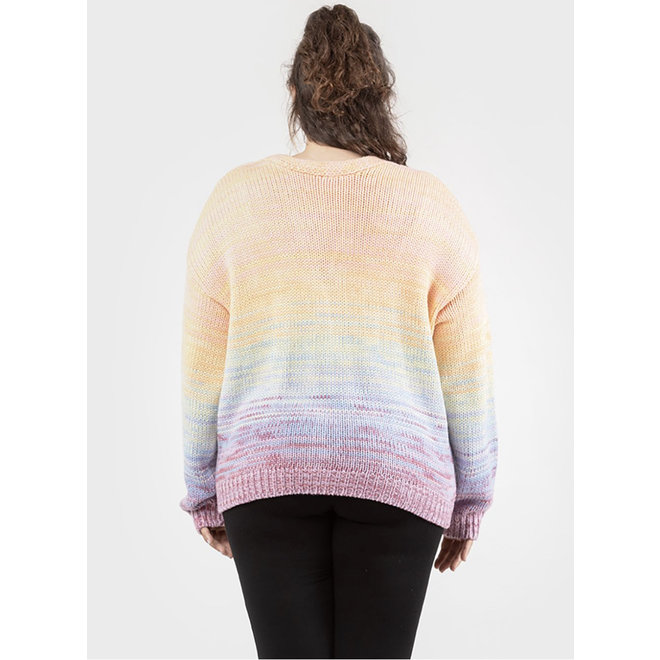 Dex plus Rainbow Cardigan Sweater