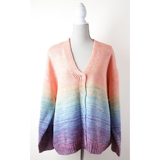 Dex plus Rainbow Cardigan Sweater