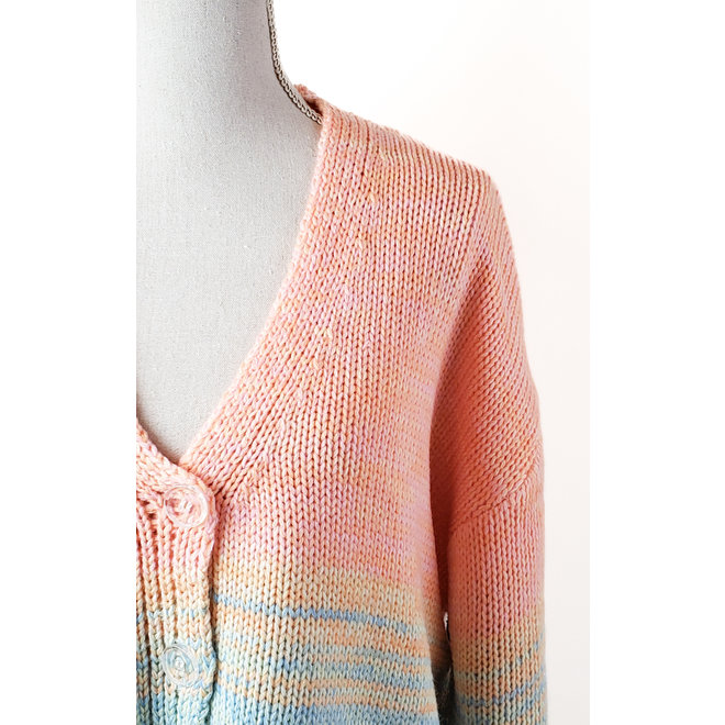 Dex plus Rainbow Cardigan Sweater