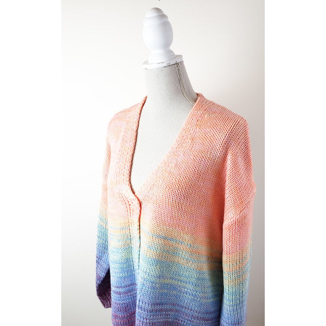 Dex plus Rainbow Cardigan Sweater