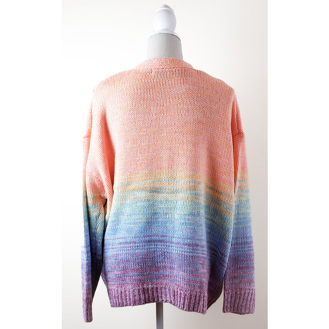 Dex plus Rainbow Cardigan Sweater