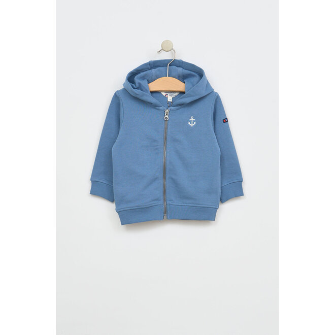 Baby Anchor Hoodie