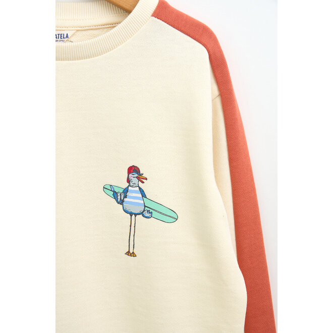 Kids Surfer Seagull Sweatshirt (2 colours)