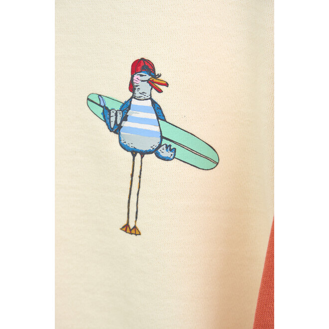 Kids Surfer Seagull Sweatshirt (2 colours)