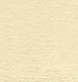 Pastel Paper Ivory, 19" x 25"
