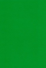 Fabriano Vice Versa (Elle Erre), Forest Green, 20” x 27.5”, 220gsm / 135#