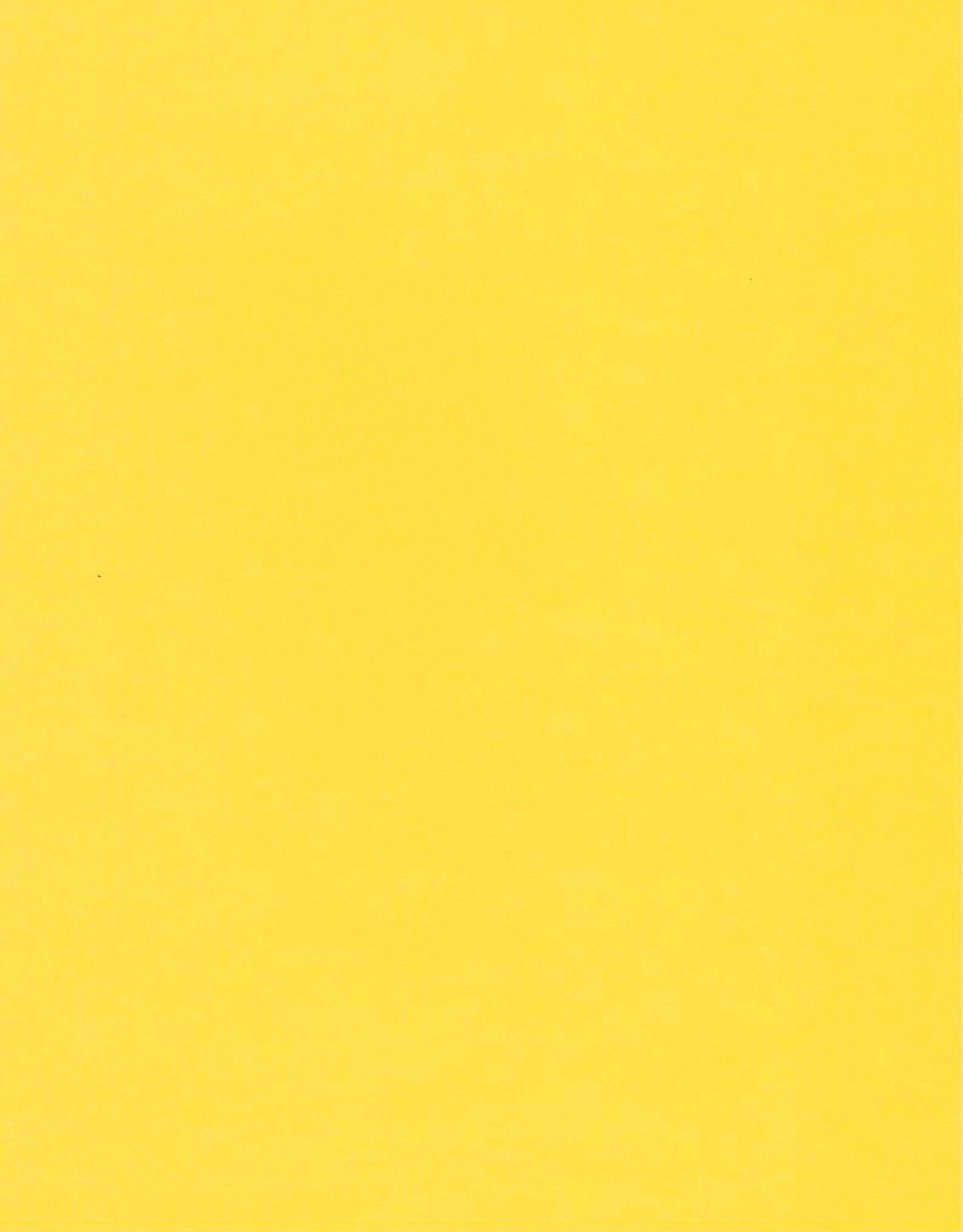 Fabriano Vice Versa (Elle Erre), Lemon Yellow, 20” x 27.5”, 220gsm / 135#