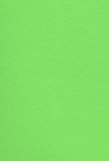 Fabriano Vice Versa (Elle Erre), Pea Green, 20” x 27.5”, 220gsm / 135#