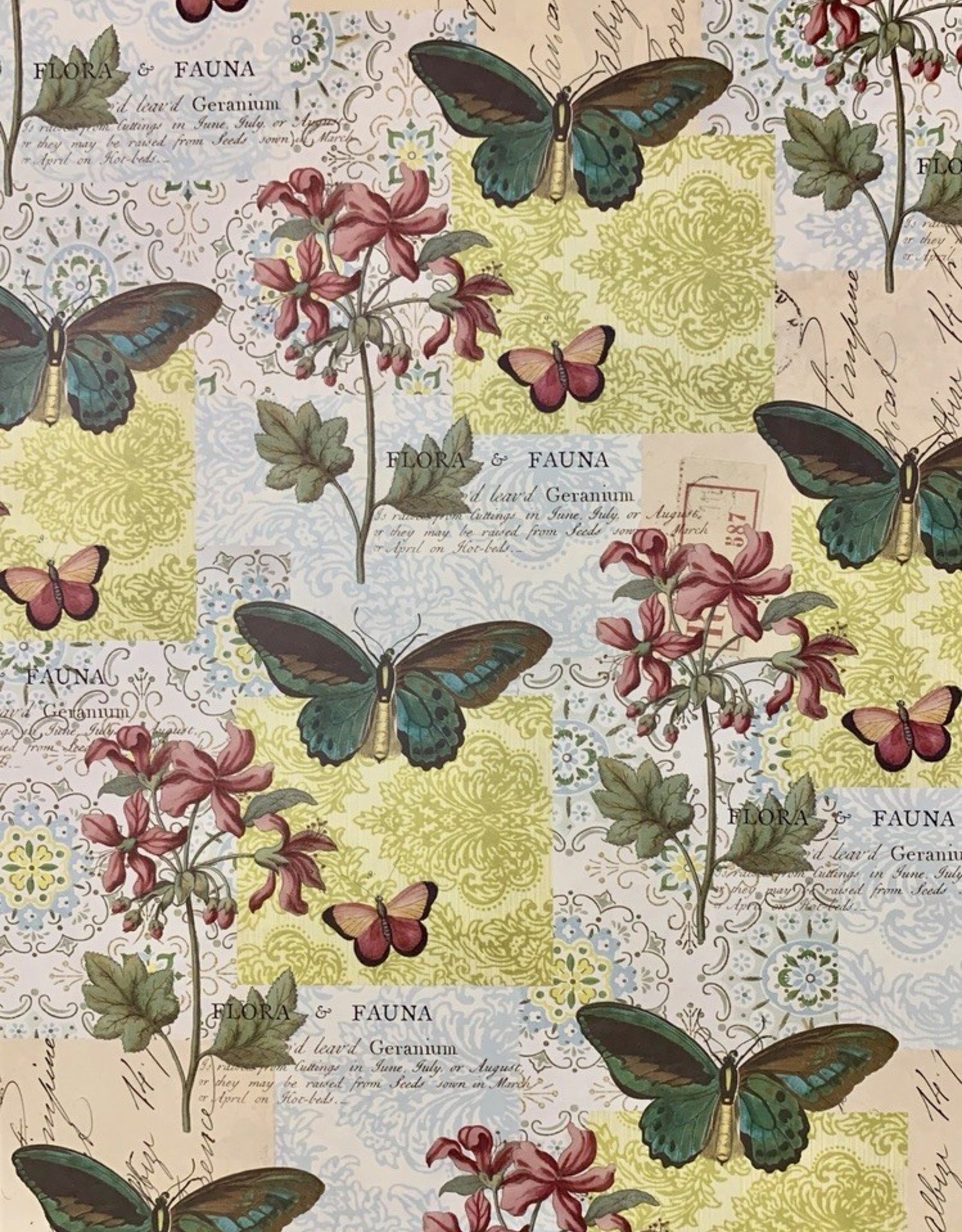 Cavallini Decorative Wrap Butterflies Paper, Party & Kids Papercraft