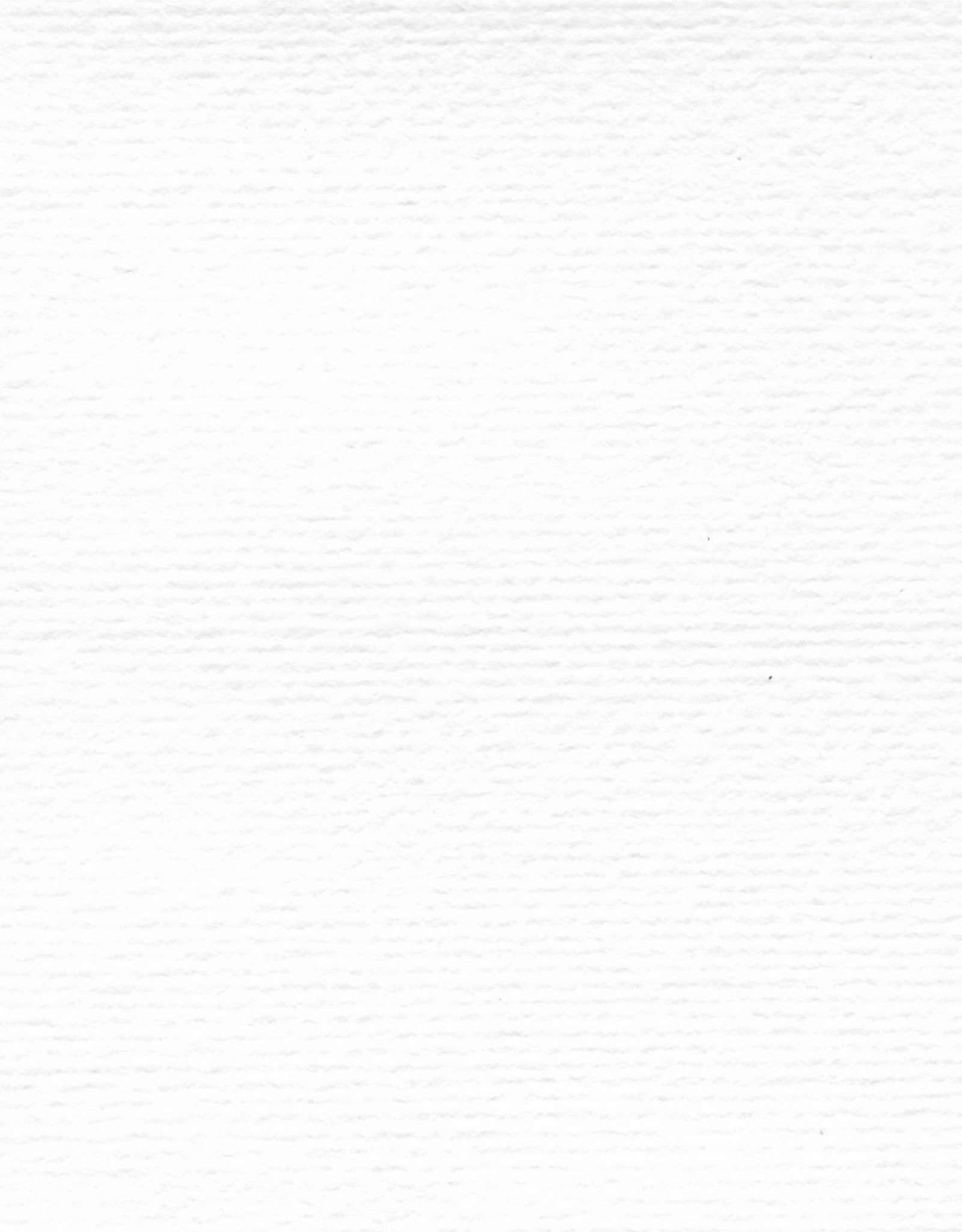 Hahnemuhle Ingres Antique, #100 White, 18.75" x 24.75", 100gsm