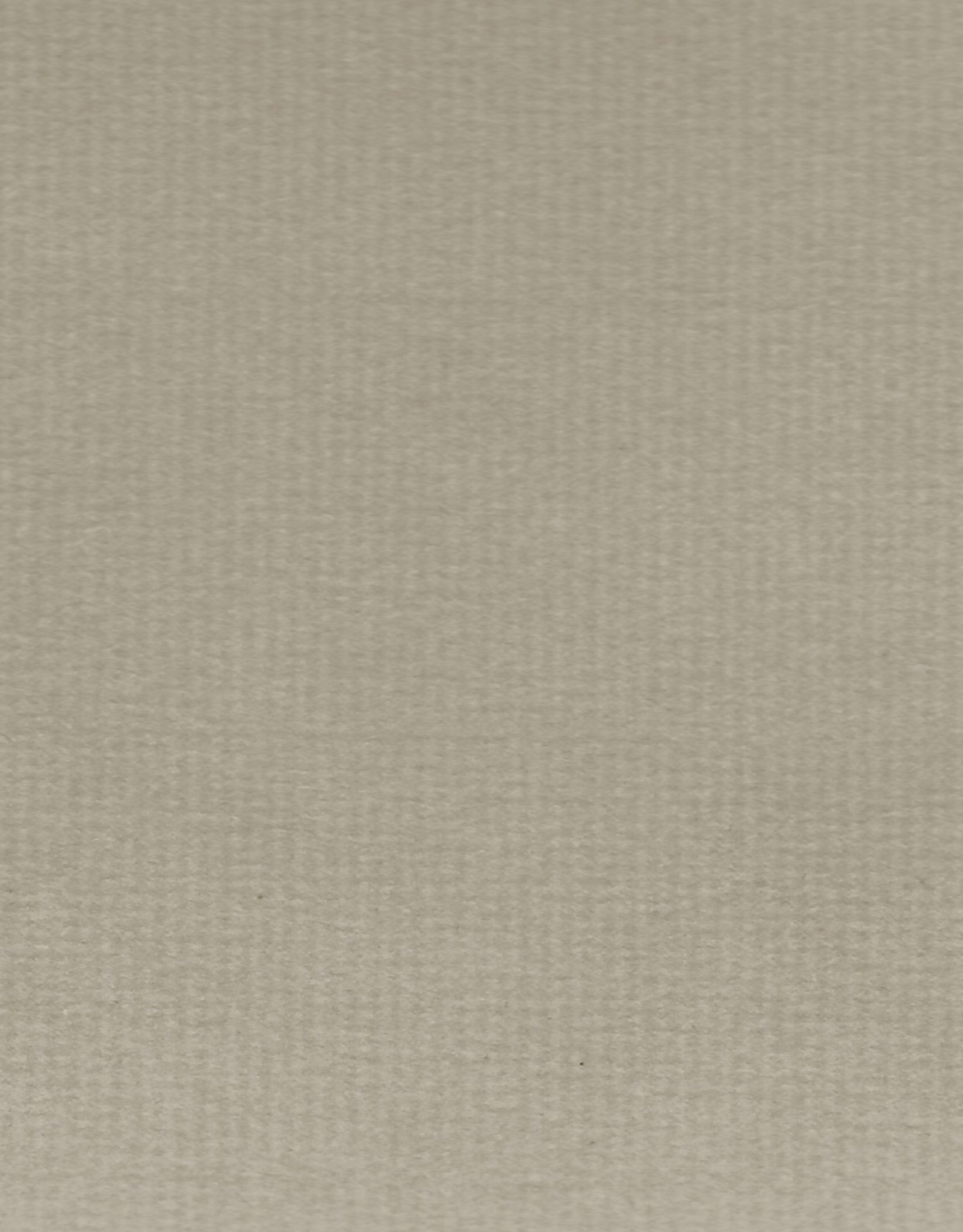 Hahnemuhle Ingres Antique, #110 Smoke, 18.75" x 24.75", 100gsm