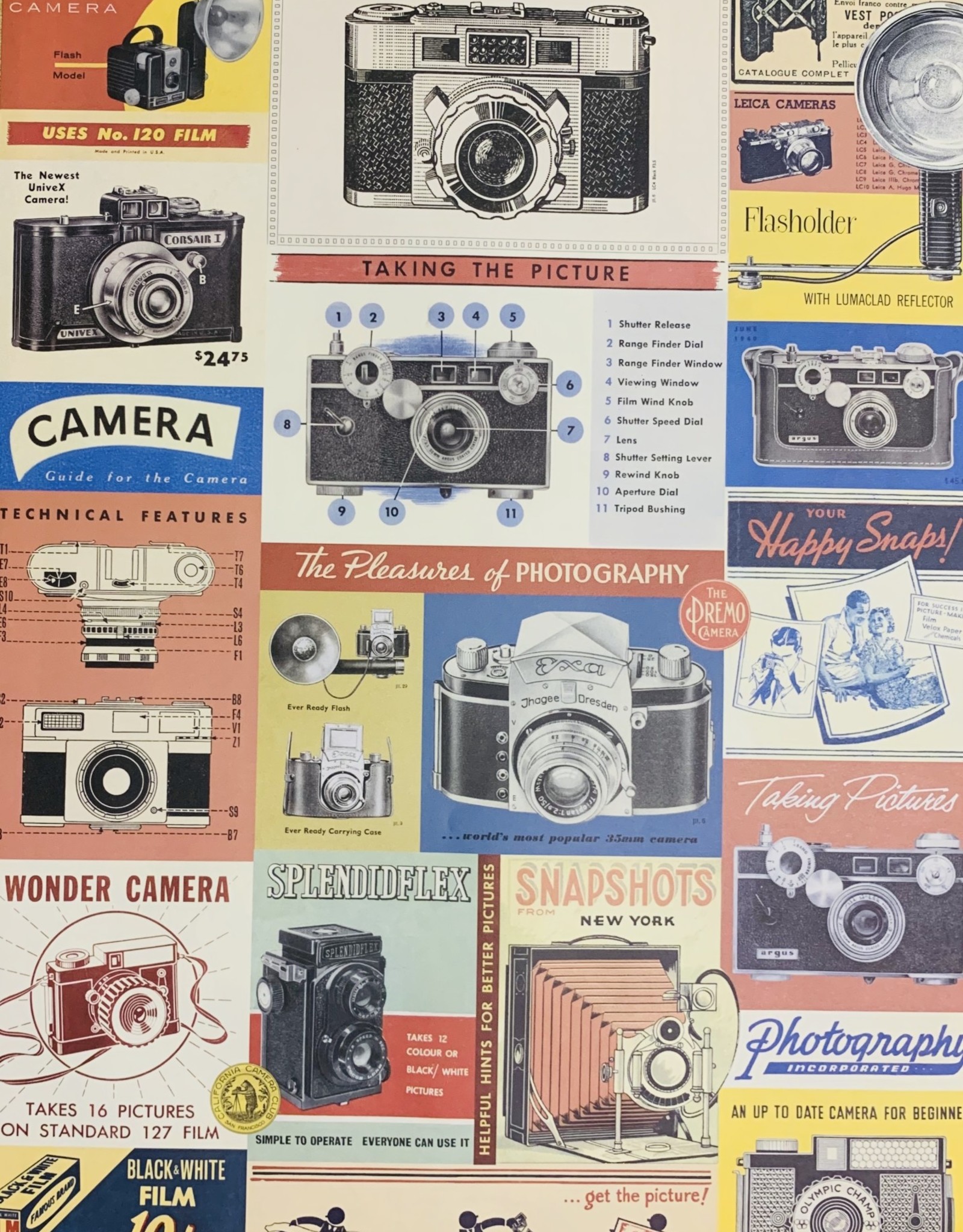 Cavallini Camera Vintage, Cavallini Poster Print, 20" x 28"