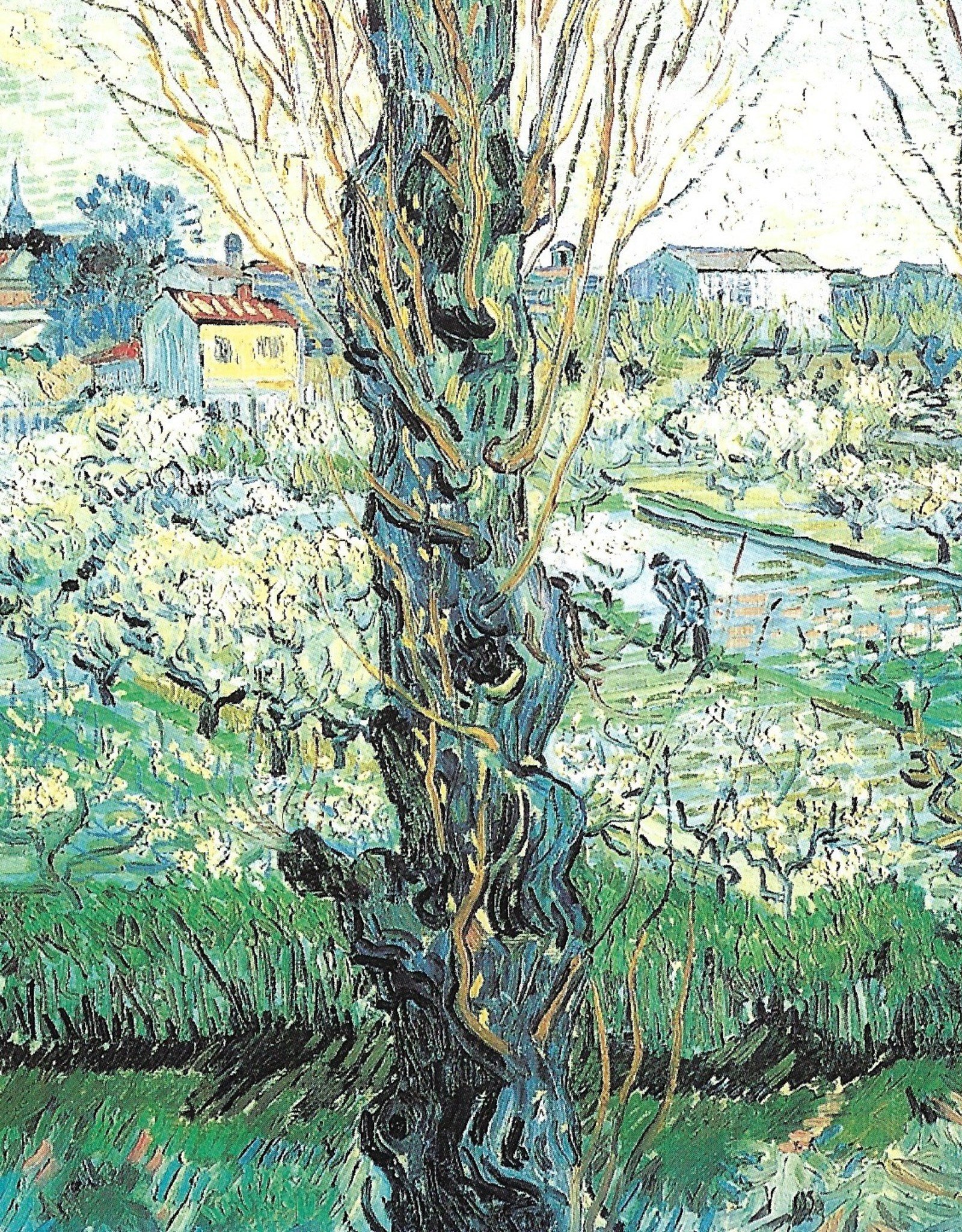 van gogh korea