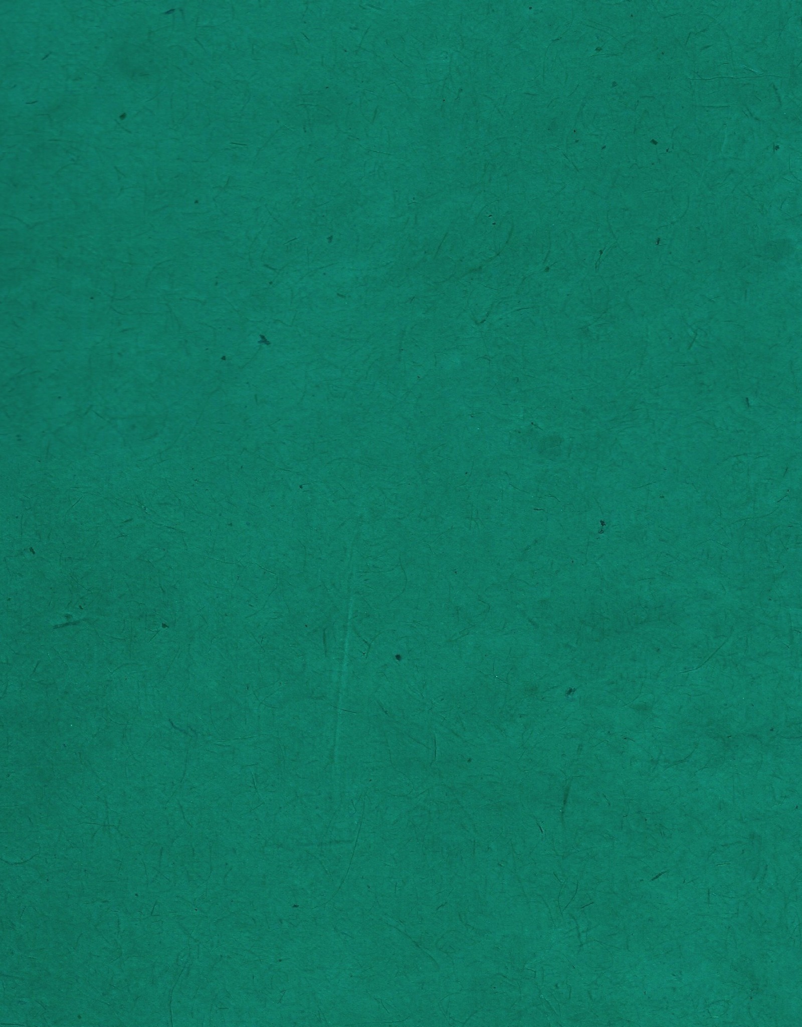 Lokta Dark Green, 20" x 30", 55gsm