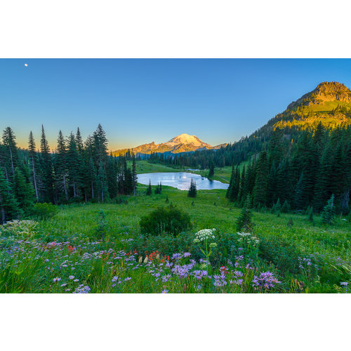 Northwest Forest Pass Daily Northwest Forest Pass Daily