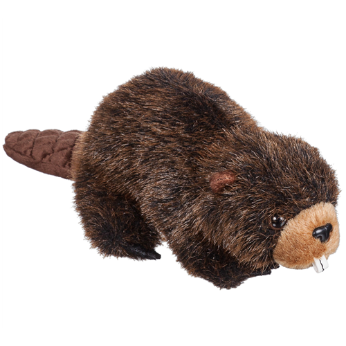 8" Natural Beaver 8" Natural Beaver