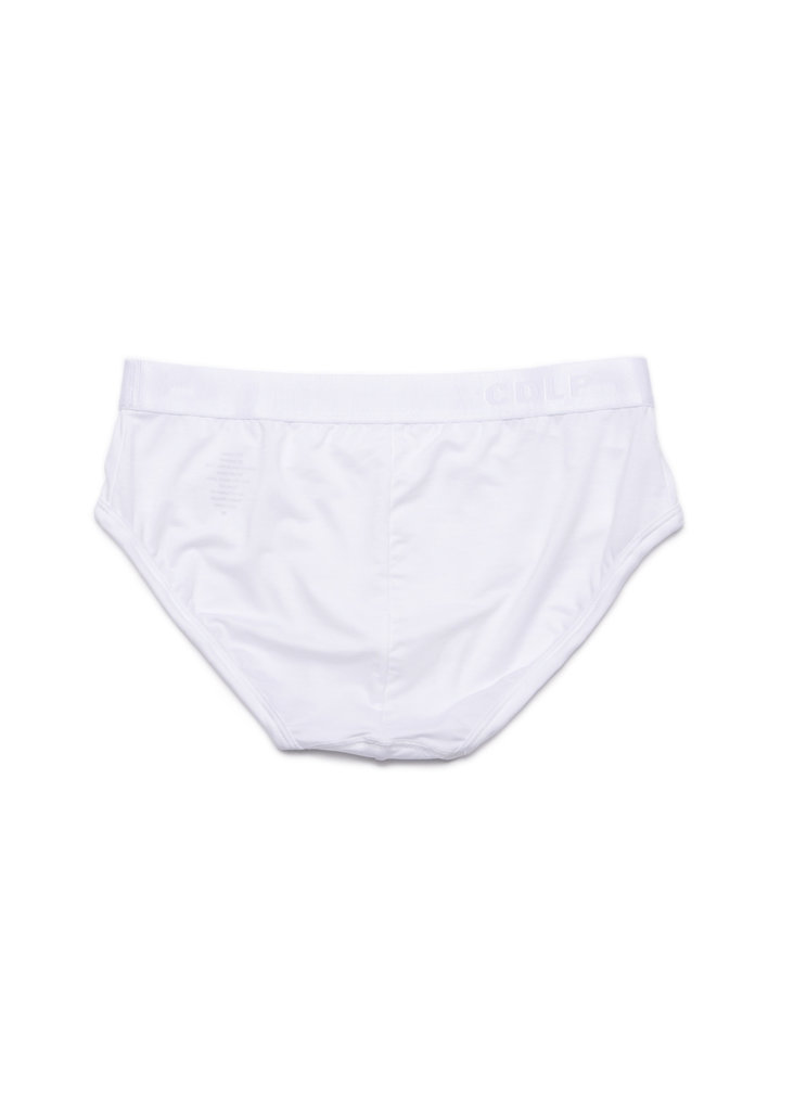 CDLP White Y-Brief