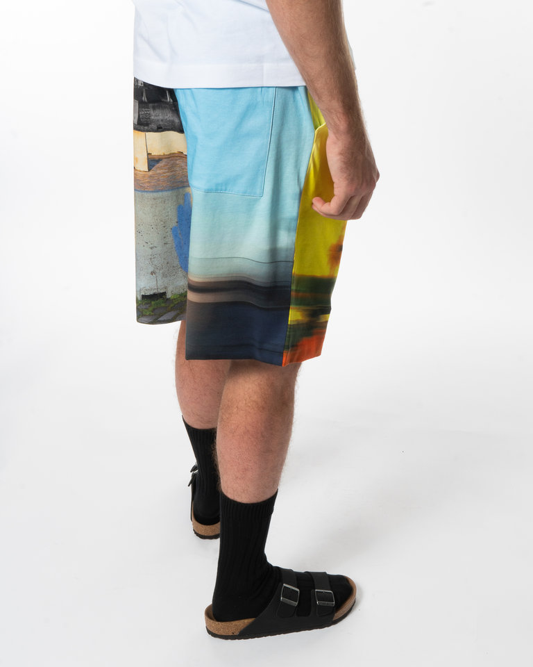 Dries Van Noten Short Graphique Multicolore