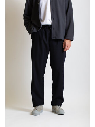 Arpenteur Navy Wool Terra Pants