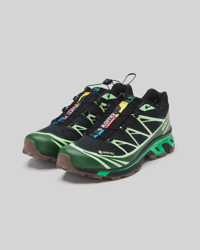 Salomon Advanced Chaussures XT-6 GTX Vertes