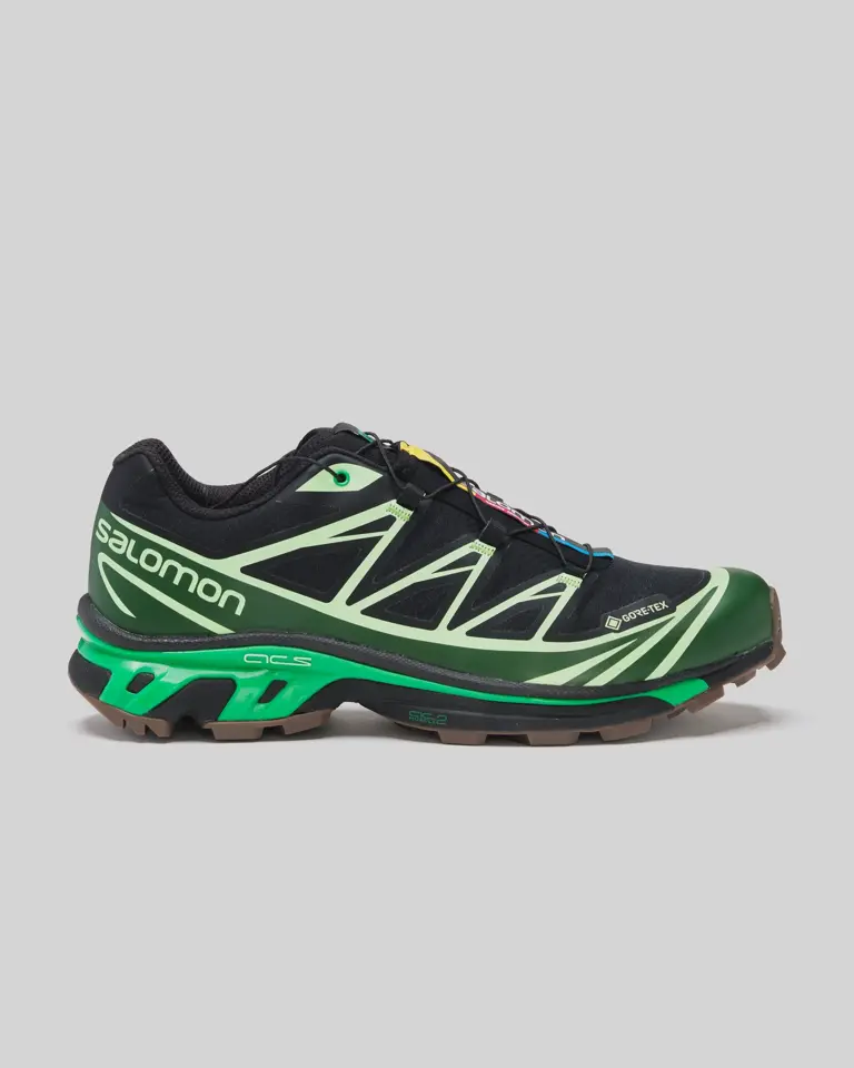 Salomon Advanced Black/Eden/Green Ash XT-6 GTX Sneakers