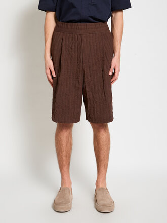 Dries Van Noten Brown Plato Shorts