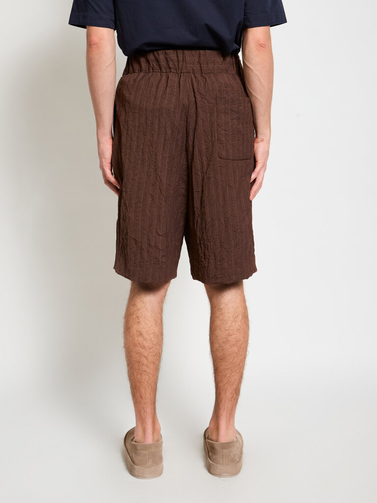 Dries Van Noten Brown Plato Shorts