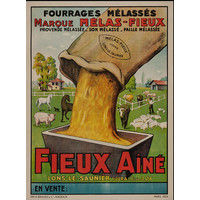 FIEUX AINE POSTER