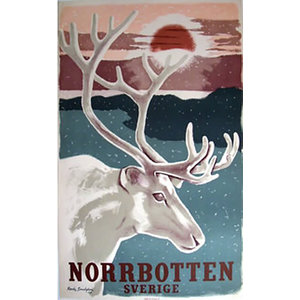 Sandgren, Ranke NORRBOTTEN RANKE SANDGREN POSTER