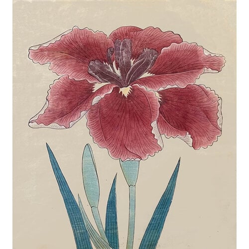 ANTIQUE JAPANESE WATERCOLOR OF IRIS FLOWER: NO. 4 ANTIQUE JAPANESE WATERCOLOR OF IRIS FLOWER: NO. 4