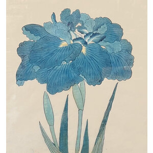 ANTIQUE JAPANESE WATERCOLOR OF IRIS FLOWER: NO. 6