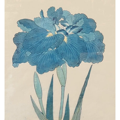 ANTIQUE JAPANESE WATERCOLOR OF IRIS FLOWER: NO. 6 ANTIQUE JAPANESE WATERCOLOR OF IRIS FLOWER: NO. 6