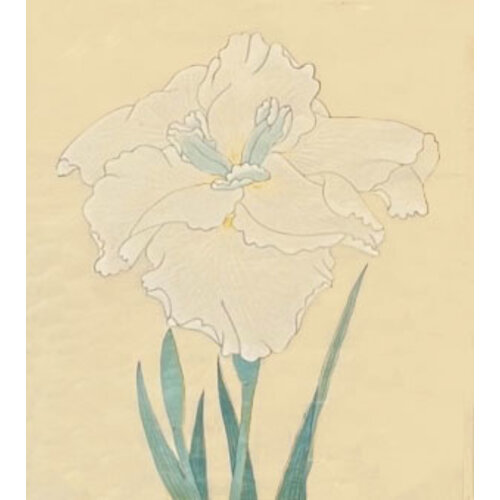 ANTIQUE JAPANESE WATERCOLOR OF IRIS FLOWER: NO. 7 ANTIQUE JAPANESE WATERCOLOR OF IRIS FLOWER: NO. 7