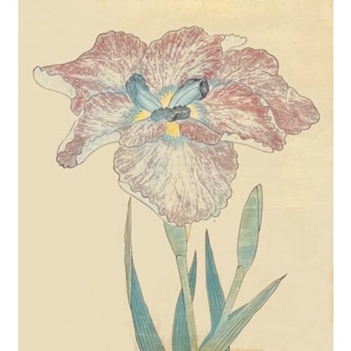 ANTIQUE JAPANESE WATERCOLOR OF IRIS FLOWER: NO. 9 ANTIQUE JAPANESE WATERCOLOR OF IRIS FLOWER: NO. 9