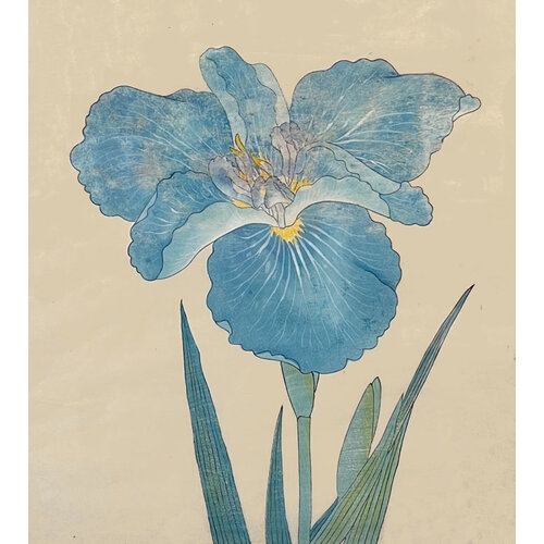 ANTIQUE JAPANESE WATERCOLOR OF IRIS FLOWER: NO. 5 ANTIQUE JAPANESE WATERCOLOR OF IRIS FLOWER: NO. 5