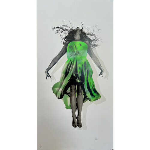 SNIK FIX THE SKY GREEN SIGNED PRINT SNIK FIX THE SKY GREEN SIGNED PRINT