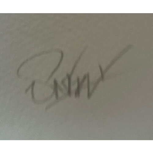 SNIK SIGNED FIX THE SKY GREEN PRINT