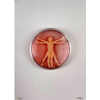 IMBUE SIGNED PRINT VITRUVIAN MAN-MADE