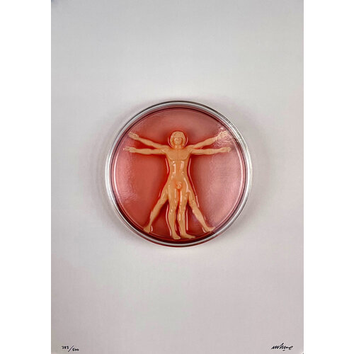 IMBUE SIGNED PRINT VITRUVIAN MAN-MADE IMBUE SIGNED PRINT VITRUVIAN MAN-MADE