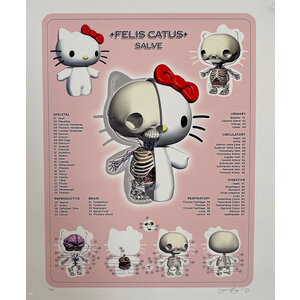 JASON FREENY SIGNED FELIS CATUS PRINT JASON FREENY SIGNED FELIS CATUS PRINT
