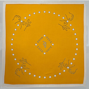 THE FOUR MOODS OF VOTING CHRISTINE SUN KIM BANDANA