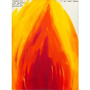 DAVID SHRIGLEY SIGNED PRINT THANK YOU FOR BURNING ALL OF MY POSSESSIONS