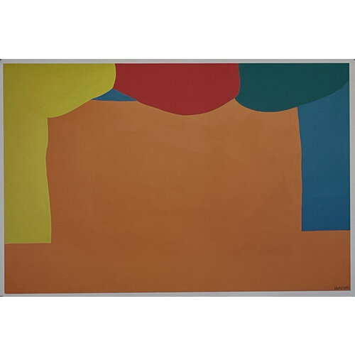 GARY HUME SIGNED PRINT CURTAINS GARY HUME SIGNED PRINT CURTAINS