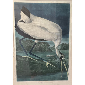 AUDUBON WOOD IBIS BIRD PRINT AUDUBON WOOD IBIS BIRD PRINT