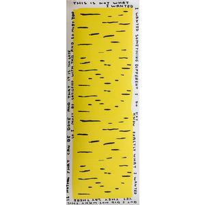 DAVID SHRIGLEY THIS IS NOT WHAT I WANTED YOGA MAT