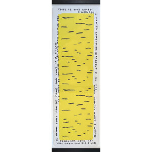 DAVID SHRIGLEY THIS IS NOT WHAT I WANTED YOGA MAT WALL HANGING
