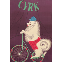CYRK POLISH CIRCUS POSTER SAMOYED BIKING