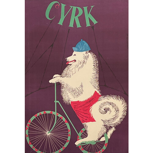 CYRK POLISH CIRCUS POSTER SAMOYED BIKING CYRK POLISH CIRCUS POSTER SAMOYED BIKING
