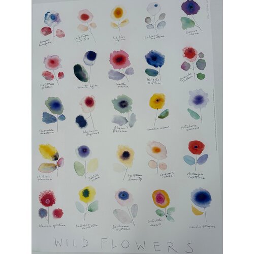 ALAN FLETCHER SIGNED PRINT WILD FLOWERS ALAN FLETCHER SIGNED PRINT WILD FLOWERS