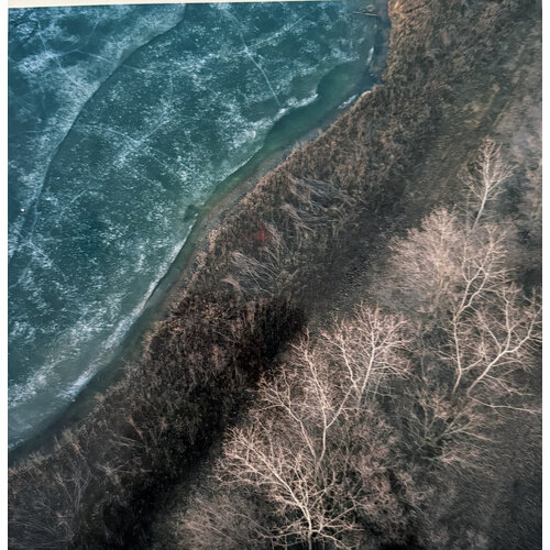 TERRY EVANS PHOTOGRAPH TREES AND WATER, EDGE OF GRAVEL PIT, McHENRY COUNTY